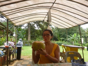 drinking from a coconut that's bigger than my big head