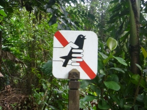 Sign #1: no catching birds